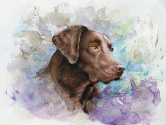 Luna, eine Labrador-Hündin: Aquarell auf ARCHES Aquarellpapier