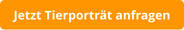 Jetzt Tierporträt anfragen