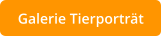 Galerie Tierporträt