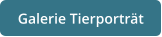 Galerie Tierporträt